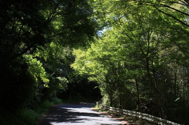 「田舎道」をどんどん進んで行くとトンネルが・・・