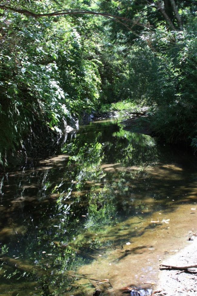 そこはもう大自然でしたよ。