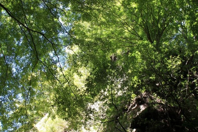 自分たちも正直、なめてたと話していましたよ。