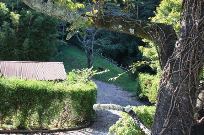 途中に日本猿がいたことには感動しましたが・・・。