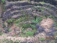 先ず「八重根のメットウ井戸」を訪れました。

「メットウ」とは、八丈の方言で「ギンタカハマ」という巻貝のことで、この井戸の道が螺旋を描いて下っている様子から「メットウ井戸」と呼ばれているようです。