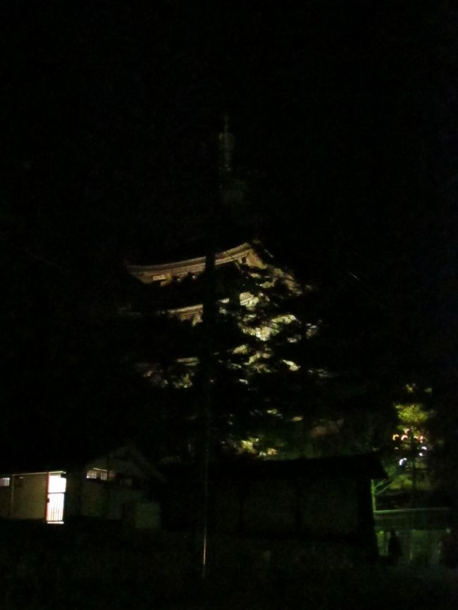 猿沢の池から興福寺の五重塔のライトアップを左手に見ながら三条通りを春日大社方面に歩きます。