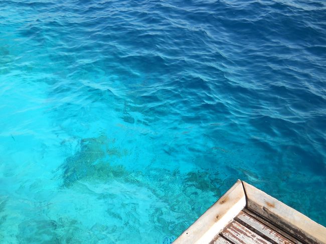 桟橋のドロップオフ、ハウスリーフの魚影が素晴らしい。<br /><br />ドチザメやナポレオンフィッシュ、ＧＴも。