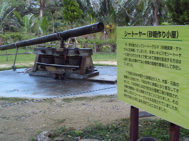こちらは、サトウキビから砂糖の原料を絞るための昔の器具。水牛に引かせてサトウキビを絞るのだとか。