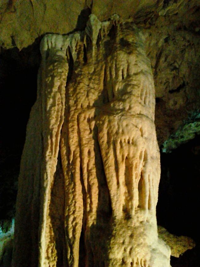 石垣島鍾乳洞は結構広かったです。歩道があるので順路に沿って進んでいきます。