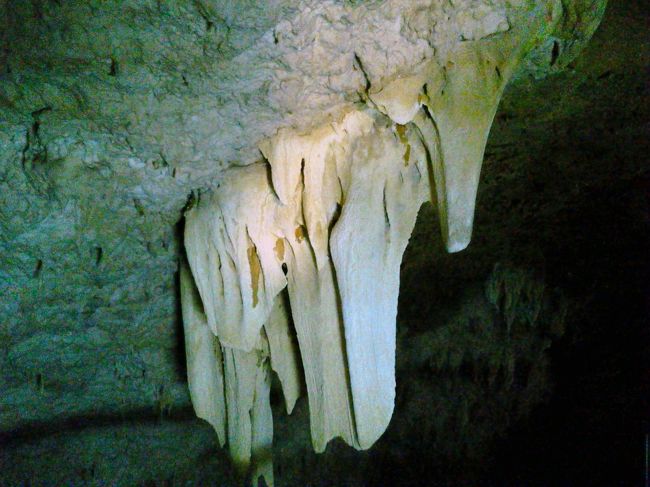 いろんな形の鍾乳石があります。