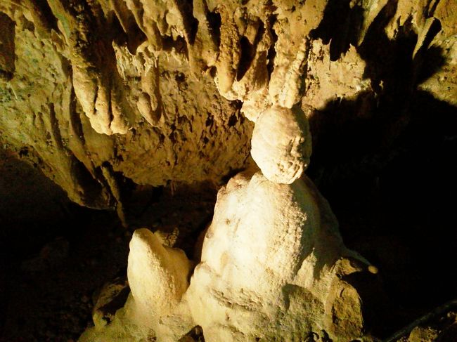 中にはキラキラと光る鍾乳石もあります。