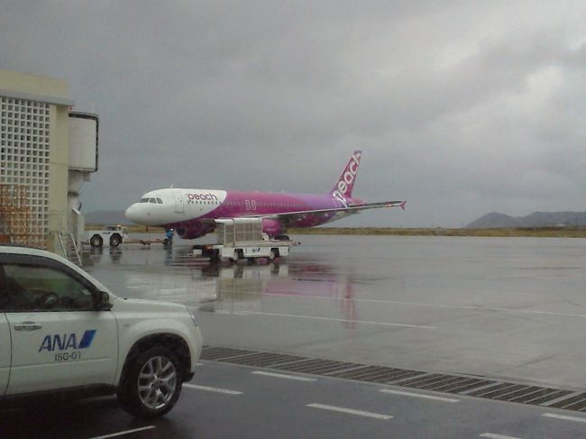 石垣空港へ戻ってきました。コインロッカーへ荷物を取りに行ったらちょうどピーチが出発する所に遭遇。<br />ANAじゃなくてピーチだったら、もっと安く来れたんだろうなぁ…。名古屋から飛んでないから選択の余地もないけど。