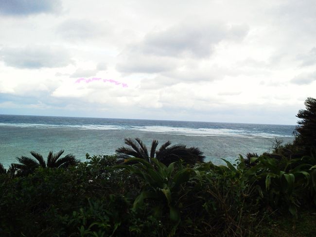 ホテルから見た海。波はまだ高いようだけど、グラスボートはきっと大丈夫でしょう！<br />朝食を済ませて早速アクティビティデスクで手続をします。<br /><br />しかしここで再びGOの悪夢が…。日本語がうまく通じない。そう、GOは世界各国から来ているので日本人以外も多いのです。必ずしも日本語が話せるわけではなく、この時にいたアクティビティデスクのもう一人の日本人は他の人の接客中。<br />グラスボートの運行会社に手配をする電話でも日本語が通じていない様子だったのに気付いた日本人スタッフが途中から入ってくれて、なんとかグラスボートに乗れることになりました。<br />チェックアウト時間も迫っていたし、冷や冷やしたよ。