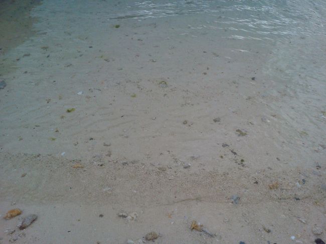 雨は止んで、海もだいぶきれいに見えてきた！