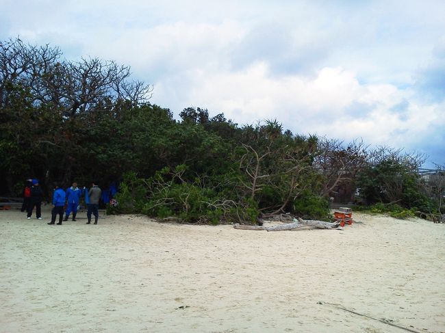 白砂の砂浜が広がっています。ようやく沖縄という感じがしてきました。