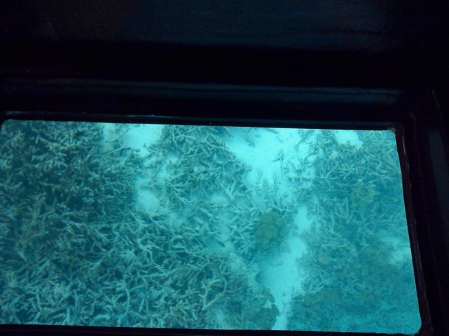 ボートの底がガラスになっていて、海の中が覗けるんですね〜。