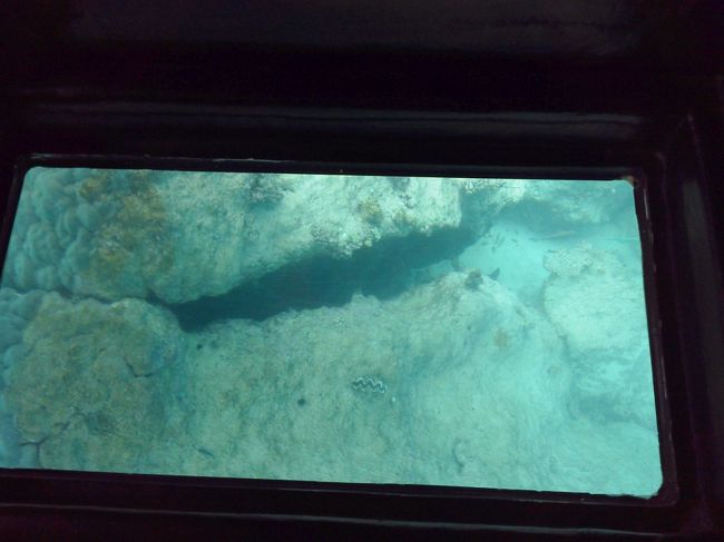 想像以上にサンゴが沢山・種類豊富です。<br />熱帯魚も沢山います。シャコガイなんかも見えたりします。<br />しばし船酔いも忘れて海に魅入る…