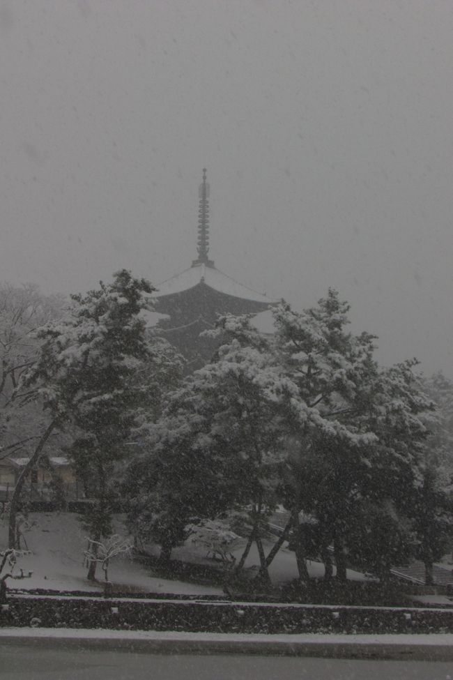 入江泰吉の世界・・・興福寺猿沢の池雪日ってこんな感じだったのかなぁ。