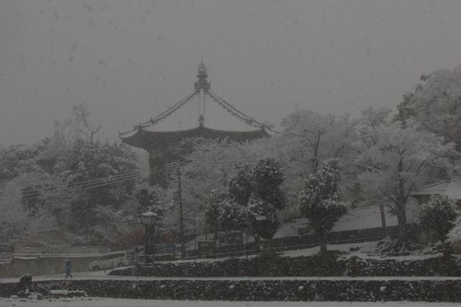 興福寺南円堂。