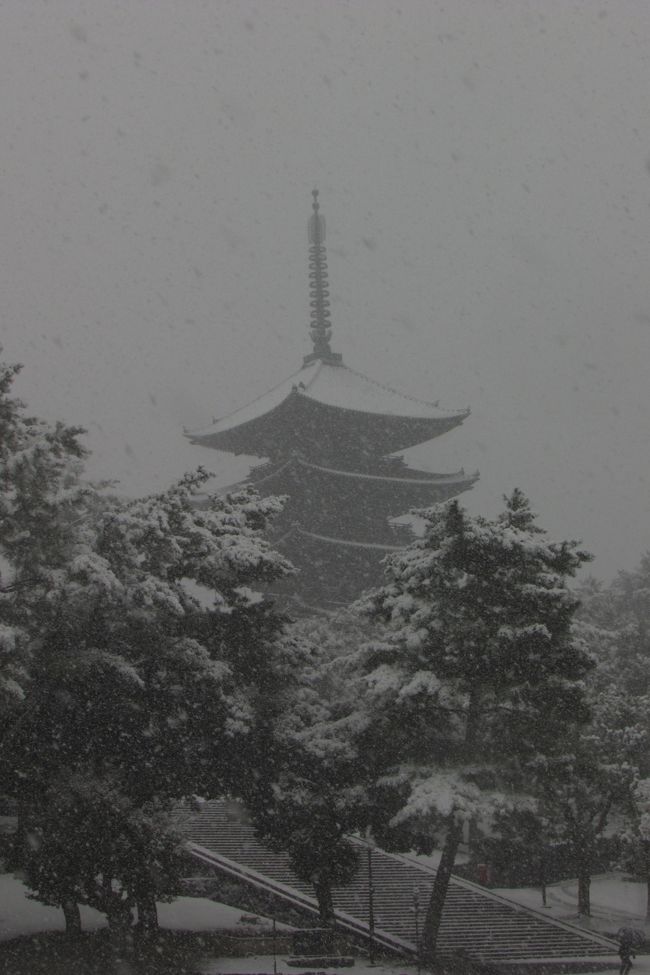 四季大和路、雪の興福寺五重塔。<br /><br />なんちゃって入江泰吉。