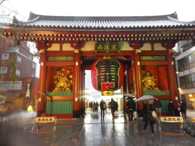 雪の浅草・浅草寺を昼と夜に散策』浅草(東京)の旅行記・ブログ