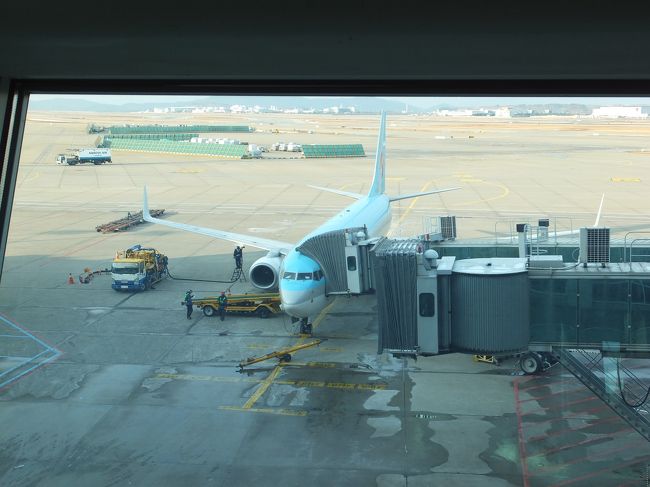 9日17時25分定刻、ようやく韓国仁川空港を飛び立ちカンボジアシェリムアップへ。うれしくてうれしくて、ワクワクします。ワクワクしすぎて寝られないし、空港でいろいろと食べ過ぎたため、機内食は楽しめず・・・。映画を見て、到着を待つ。