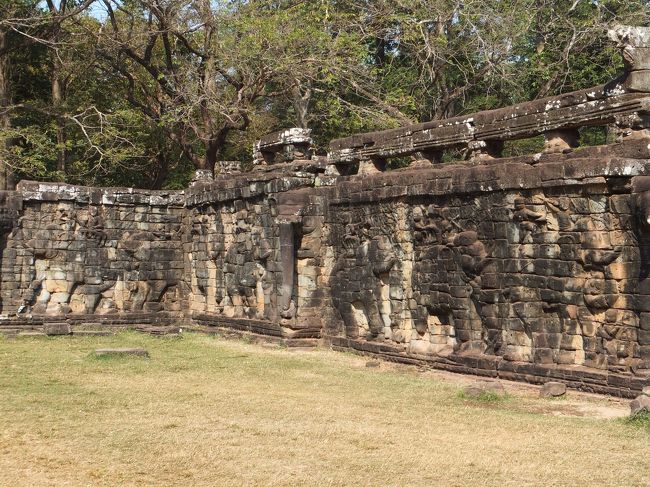象のテラス。象のレリーフはもちろん、ガルーダとガシャシンハが交互に並んでテラスを支えているレリーフもすごくよい。