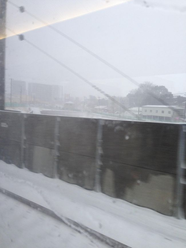 猛吹雪の中、京成ライナーで成田へ・・・こんな天気なので早めに成田に向かいます。<br />