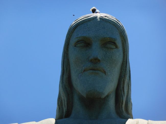 インコのよう<br />頭にちょんと乗っている人に驚く