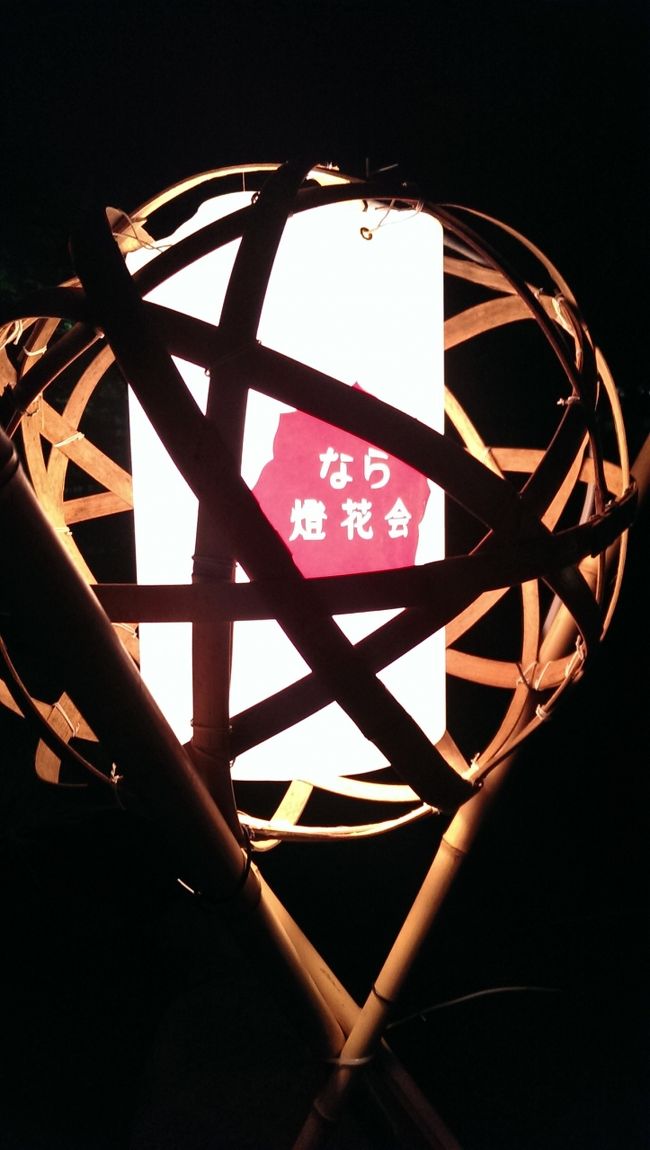 去年は奈良県庁の駐車場に駐車して、猿沢池や奈良国立博物館や興福寺辺りを楽しんだので、今年は春日大社側の燈火会を楽しもうということに。<br /><br /><br />メイン会場は新公会堂中庭会場。<br />春日大社側です。<br />