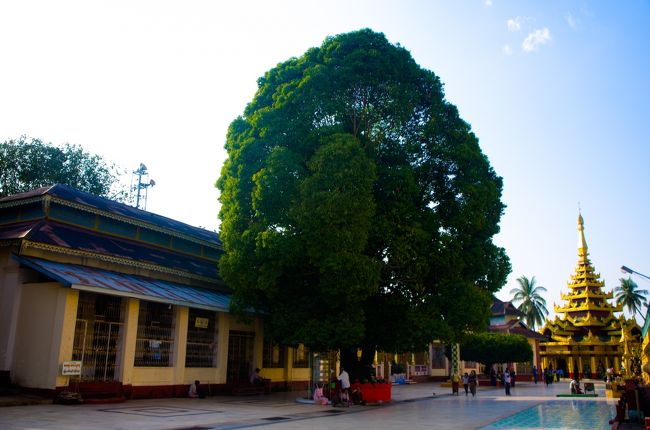 なにもしないと、こんな感じになるみたい。