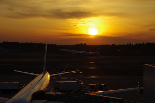 成田国際空港 夕陽と飛行機と富士山』成田(千葉県)の旅行記