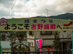 吉野梅郷の玄関口、青梅線日向和田駅に着きました。
駅ホームには梅まつりの横断幕があります。
