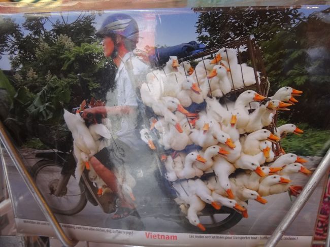 これは絵葉書<br /><br />こんなの本当にあるの？？