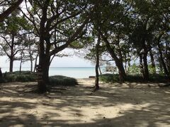 川平湾の期待通りのキレイな海の色に感動したあとは、やはり川平地区にある底地（すくじ）ビーチへやって来ました。これはビーチへの入り口付近の様子