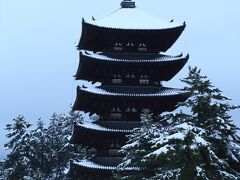 興福寺のシンボル，五重塔です。
青空だったら最高だったのですけど…まあ，無人の写真が撮れたので良しとしましょう。

