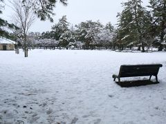 奈良公園。
早朝なので人がいないのはわかりますが，奴らがいません。
奴等とはもちろん鹿のこと。
