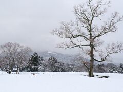 飛火野までやってきました。
ギュッギュッと雪を踏みしめて奥へと進んでいきます。
