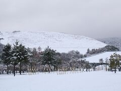 奈良県新公会堂前の広場です。
若草山が真っ白！
