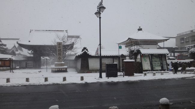 鯖江の街へ寄りました。