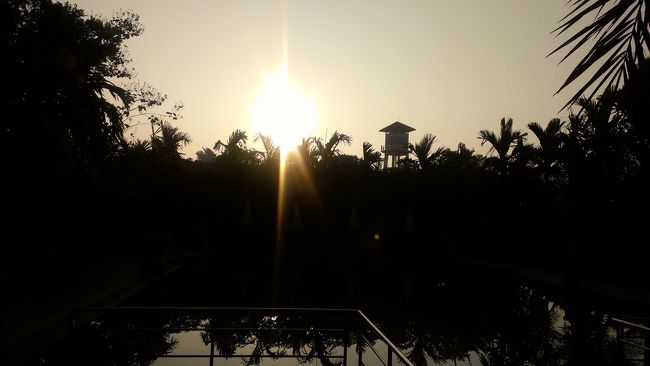 朝、ホテルの敷地内をお散歩♪