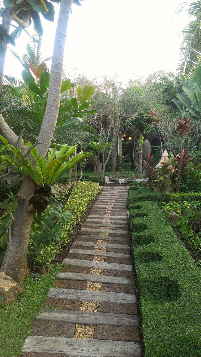 お散歩、気持ちいいー( ´∀｀)