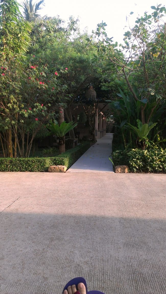 とりあえず乗ってみる(笑)