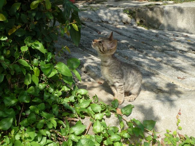 大きくなれよー