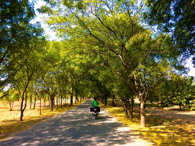 ホテルでシャワー浴びて列車のほこりを落としてから、街の探索へとでかける。<br /><br />ホテルで電動自転車を借りて（1日8,000チャット：800円）出発。並木道を通り抜ける風がちょー気持ちいい。