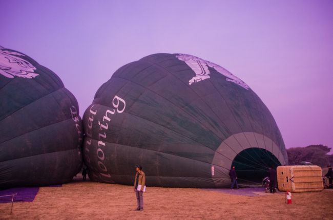 で、翌朝。なんとか苦労して手に入れたバルーンフライトに乗り込むべく発着地にやって来た。