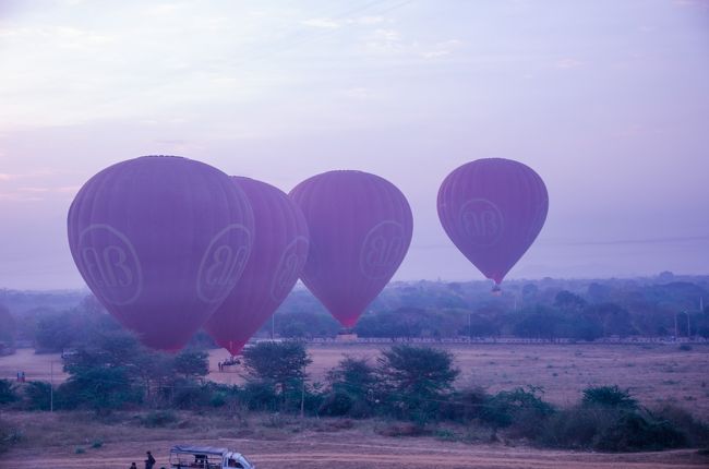 今朝はレッドチームの方も無事にフライトができたみたい。