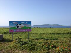 あと、かねひででサーターアンダギーを買って、ホテルのチェックインも無事済ませ、やって来たのはきょうのもうひとつの目標、いもり牧場の自家製ジェラートミルミル本舗～名前が長い(^ ^)