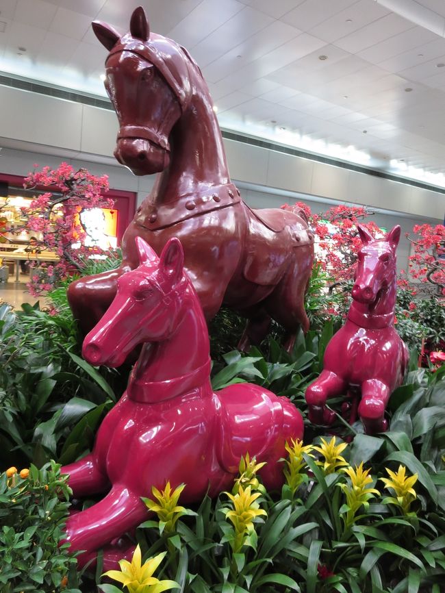 2/6<br /><br />朝7時20分、リニアで浦東空港に到着！<br /><br />午年だけに、木馬？？<br /><br />小豆色ってどうなの？