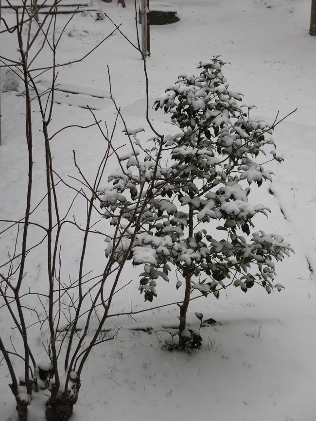 ありゃりゃ大丈夫かな。