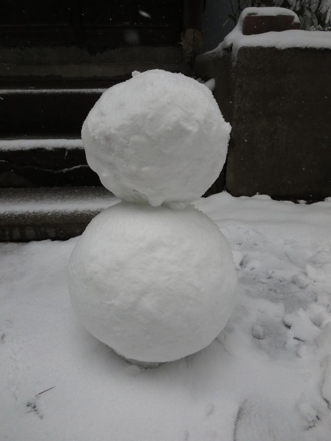 近所の子供が作っていったと思われる雪だるま。<br /><br />結局、この日、静岡まで移動するのは断念…<br /><br />祖母大喜び。