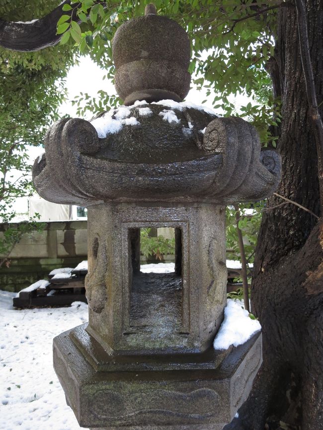 ちょいとお庭をお散歩。