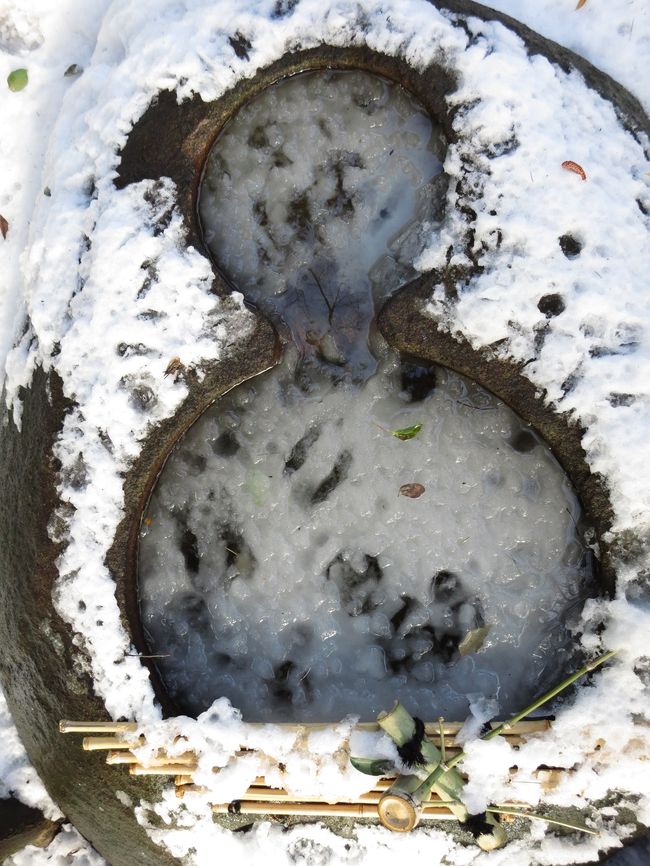 叔母さんがお庭を随分お洒落にしてくれているみたいです。