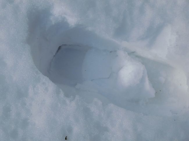 すごい積もってました。<br /><br />歩くとき、足が埋まる感じがしました。